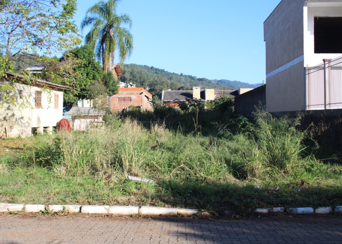 Terreno com vegetação alta chama atenção na Rua da Indústria, no Centro.
Foto: Matheus de Oliveira