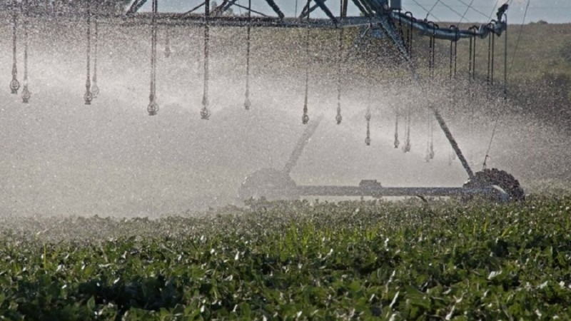 Irrigação é importante instrumento para manter a produção em períodos de pouca chuva - Foto: Fernando Dias / Seapdr