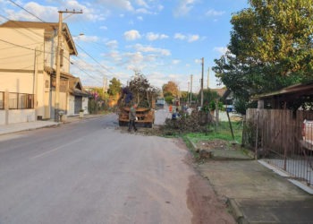 Objetivo é colocar em dia calendário de podas em quatro bairros do município Foto: Divulgação/Prefeitura de Taquara