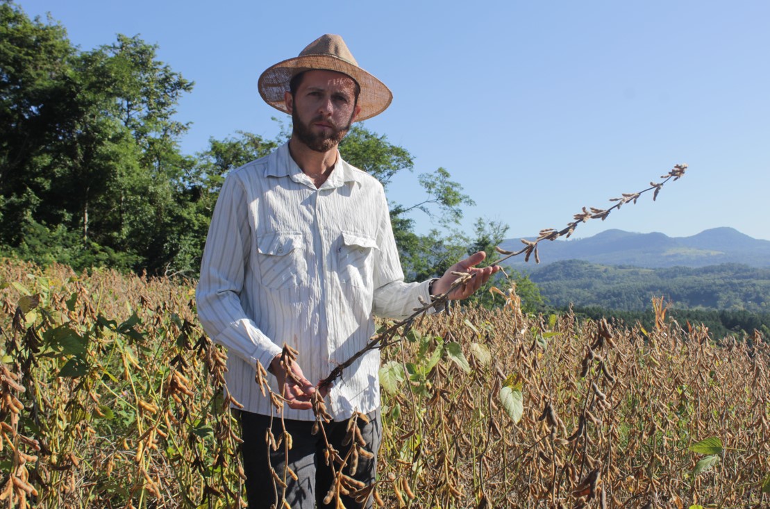 Gilson  em uma das terras onde a família planta a soja
Foto: Lilian Moraes