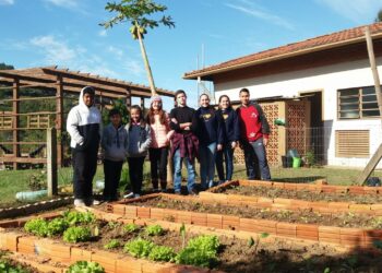 Alunos da Emef Zeferino Vicente Neves Filho cultivam vegetais e temperos que são usados na própria escola Foto: Ruan Nascimento