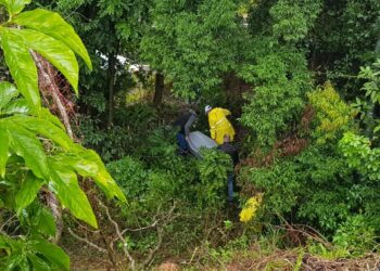 Corpo de idosa foi encontrado em matagal com sinais de violência (Foto: Ronei Silva)