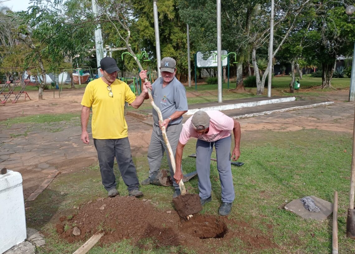 Ao todo, foram seis árvores plantadas no local
Foto: Ruan Nascimento/Prefeitura de Taquara