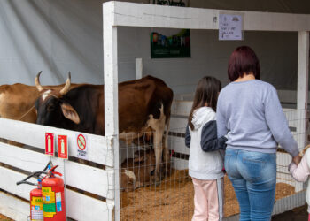 Haverá exposição de animais, venda de produtos agrícolas e atividades culturais 
Foto: Diego Santos/Estrategiacom